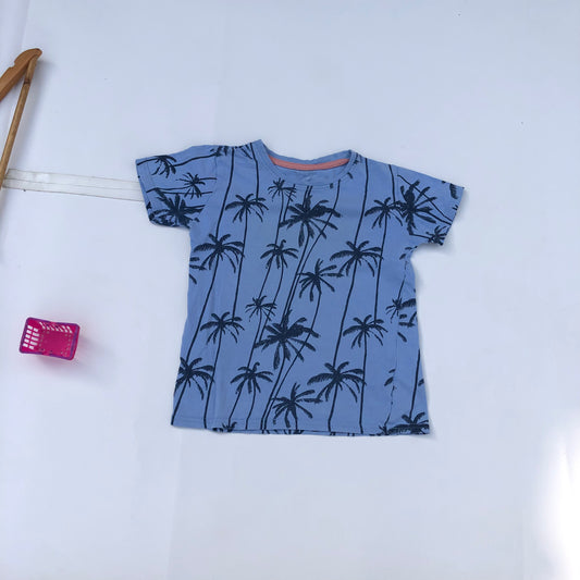 Dabino Tees na shekaru 6 na St.Bernard