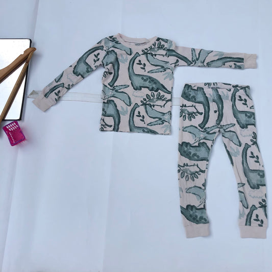2 Piece sleep wear for 3 years old by Carter's