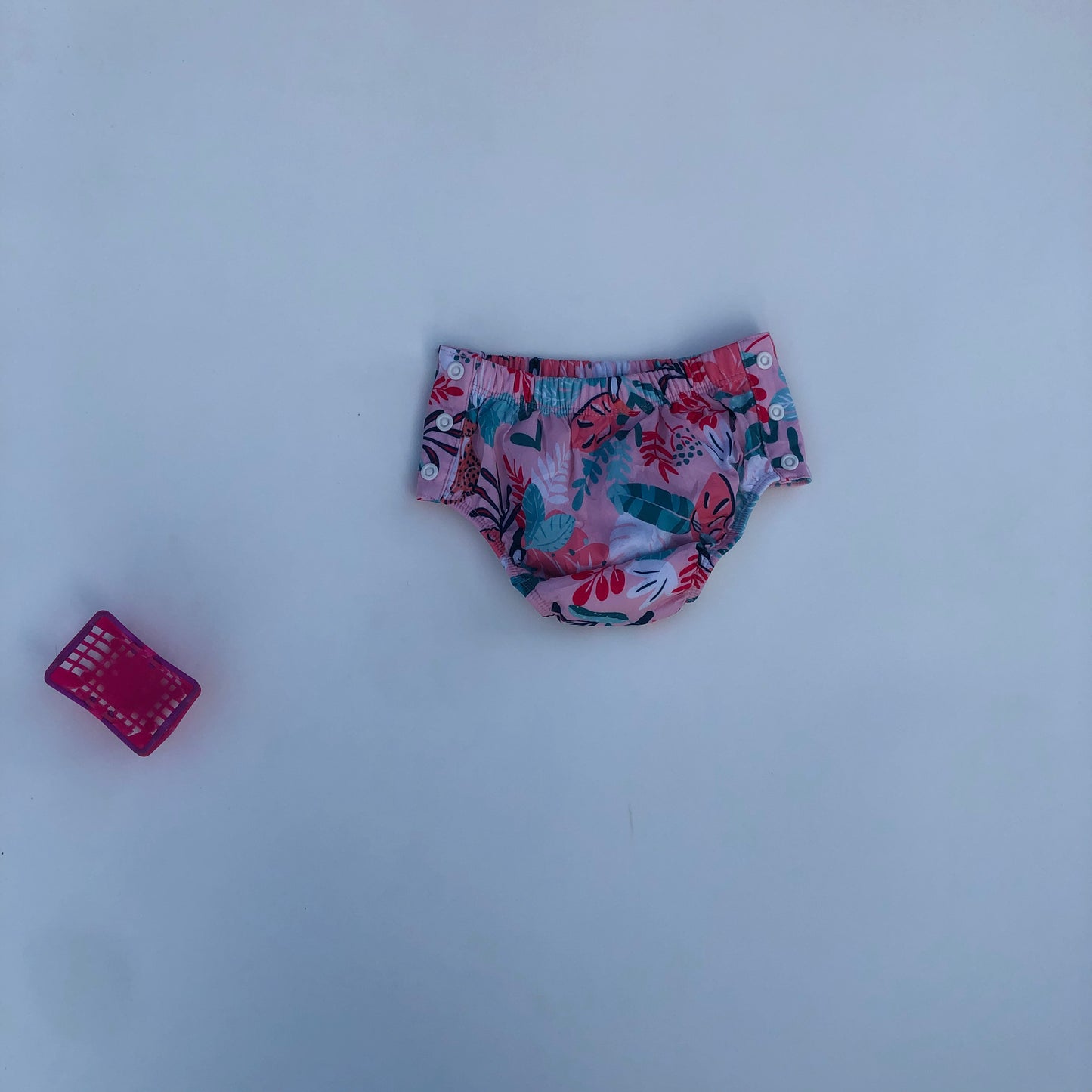 Potty Training Pant for 12 Months