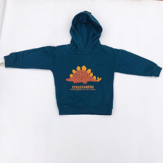 3-4 years old Stegosaurus hoods